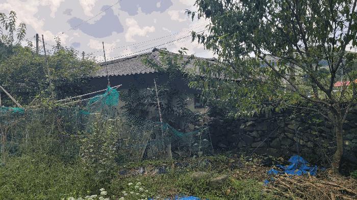 전북특별자치도 진안군 부귀면 수항리 843 전 경매 사진 6