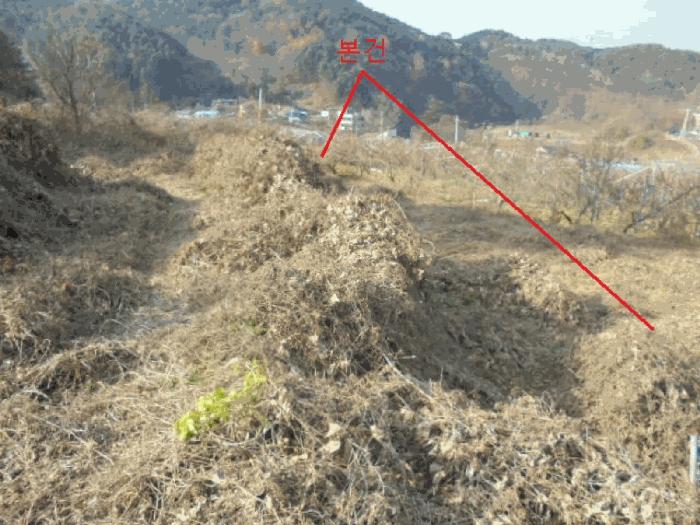 충청북도 충주시 수안보면 온천리 882 전 경매 사진 11