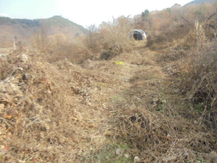 충청북도 충주시 수안보면 온천리 882 전 경매 사진 13
