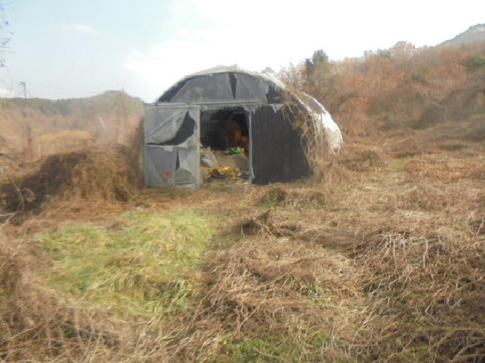 충청북도 충주시 수안보면 온천리 882 전 경매 사진 17