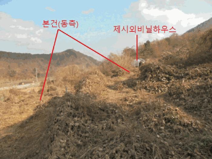 충청북도 충주시 수안보면 온천리 882 전 경매 사진 6
