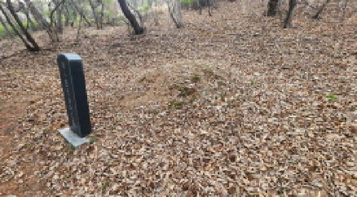 전북특별자치도 군산시 개정면 아동리 358-1 전 경매 사진 19