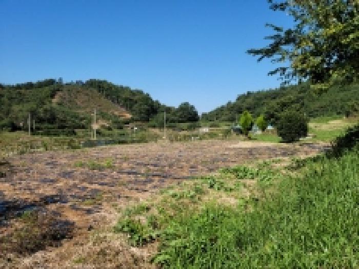 전라남도 고흥군 두원면 대금리 371 전 경매 사진 4