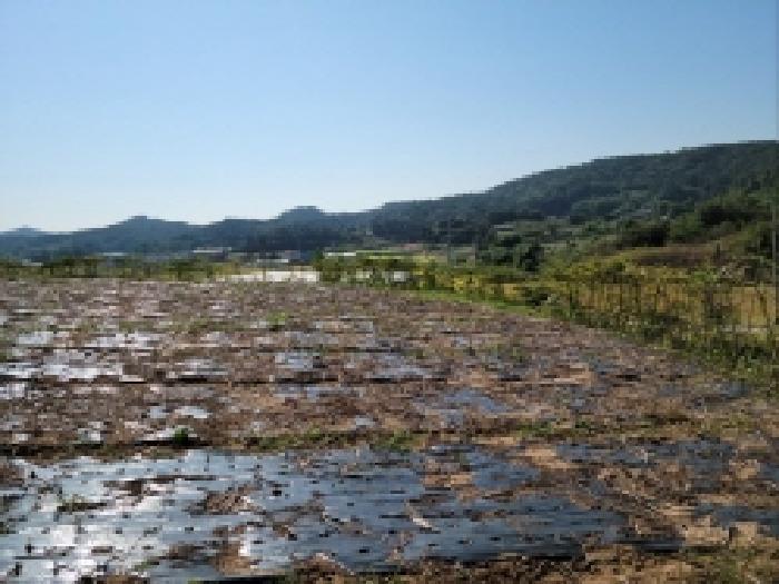 전라남도 고흥군 두원면 대금리 371 전 경매 사진 9