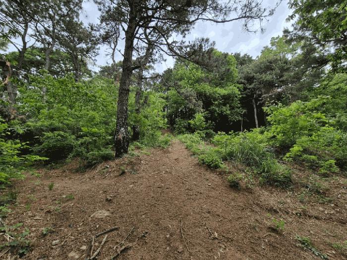 전북 군산시 전
