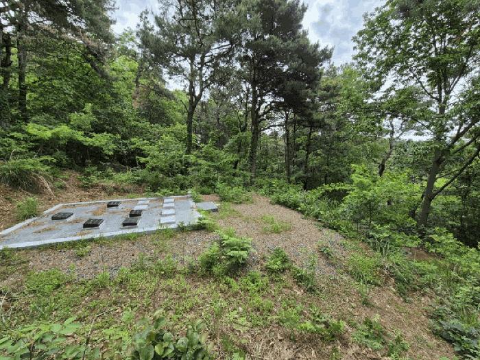 전북특별자치도 군산시 대야면 산월리 690 전 경매 사진 2