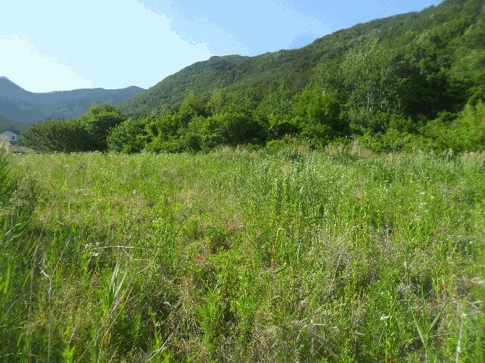 경상남도 밀양시 산외면 금곡리 382 전 경매 사진 2