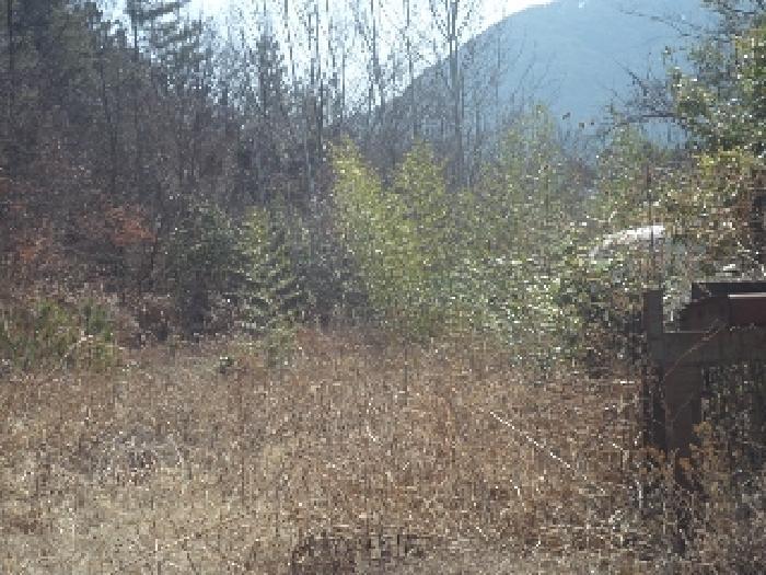 경상남도 밀양시 산외면 금곡리 382 전 경매 사진 4