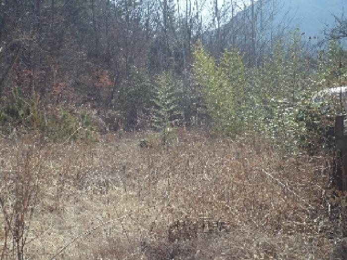 경상남도 밀양시 산외면 금곡리 382 전 경매 사진 5