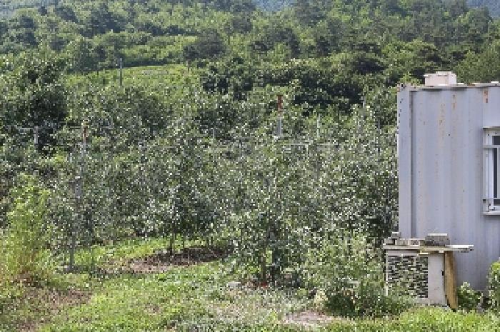 경상남도 밀양시 산내면 송백리 57 답 경매 사진 8