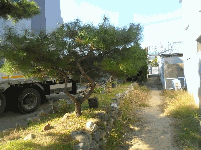 경상남도 창녕군 남지읍 학계리 348-1 전 경매 사진 14