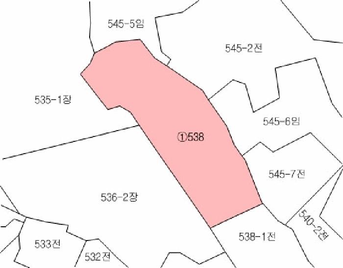 경상남도 창녕군 대합면 평지리 538 전 경매 사진 11