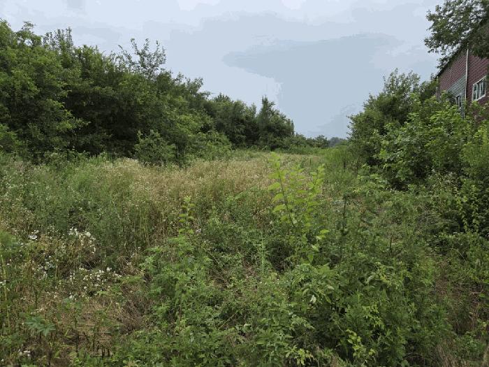 경상남도 창녕군 대합면 평지리 538 전 경매 사진 3