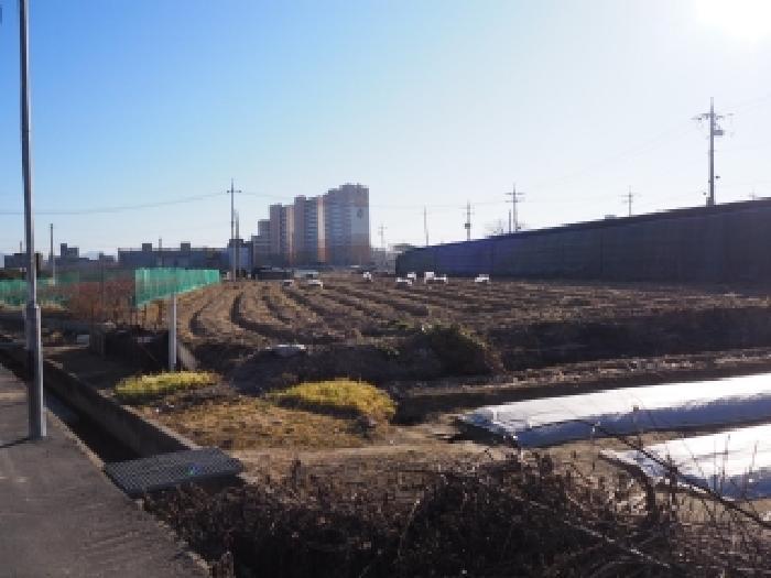 경상남도 창녕군 남지읍 학계리 516-6 답 경매 사진 5