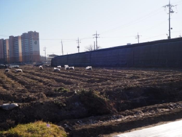 경상남도 창녕군 남지읍 학계리 516-6 답 경매 사진 8