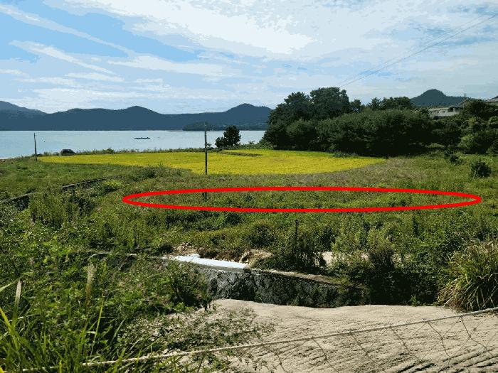 전라남도 고흥군 답