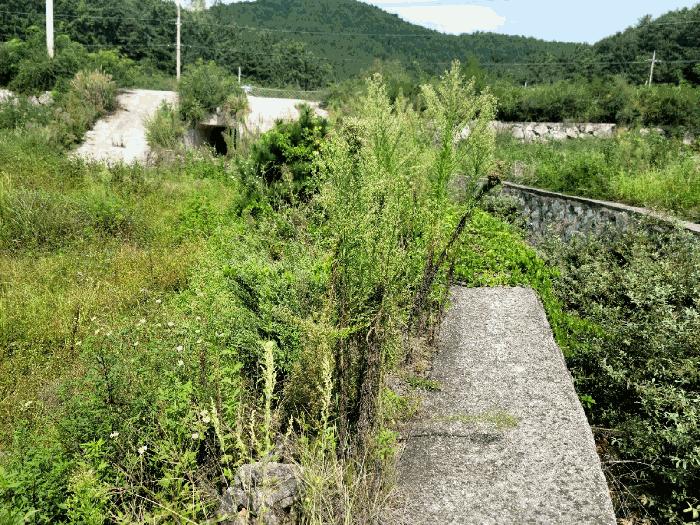 전라남도 고흥군 동일면 봉영리 1557 답 경매 사진 2