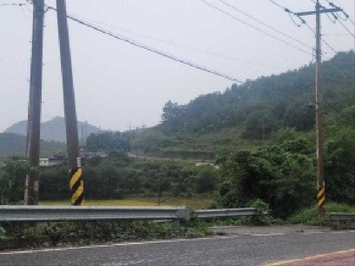 전라남도 고흥군 동일면 봉영리 1557 답 경매 사진 5