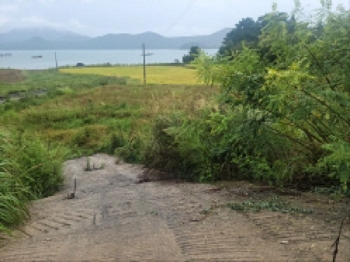 전라남도 고흥군 동일면 봉영리 1557 답 경매 사진 9