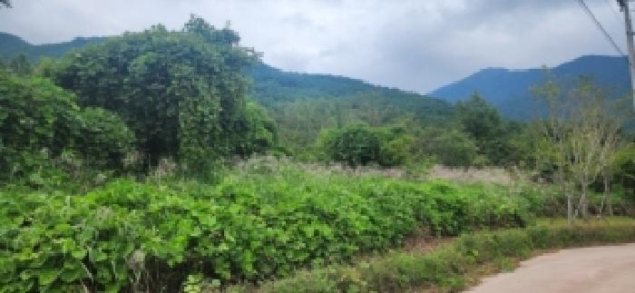 전라남도 구례군 마산면 황전리 594-81 대지 경매 사진 7