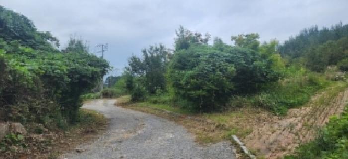 전라남도 구례군 마산면 황전리 594-81 대지 경매 사진 9