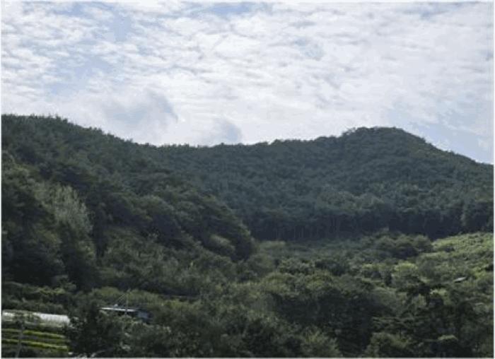 전라남도 순천시 임야