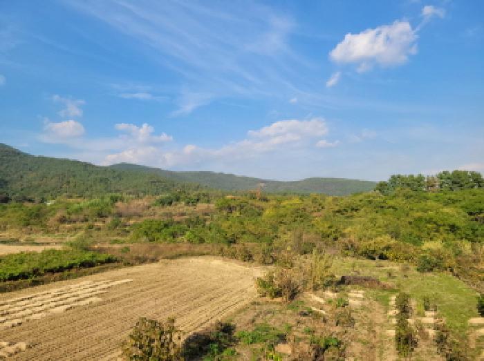전라남도 광양시 황길동 1255 전 경매 사진 4