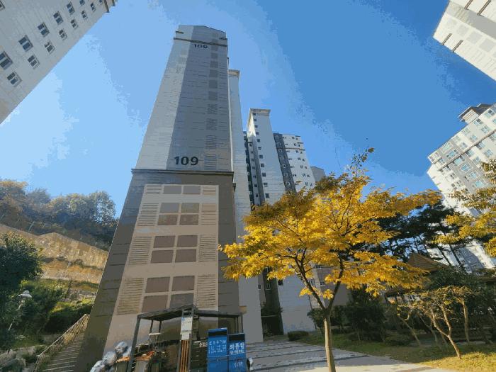 전라남도 여수시 소라면 죽림리 1247 죽림양우내안애아파트 109동 1층103호 아파트 경매 사진 1