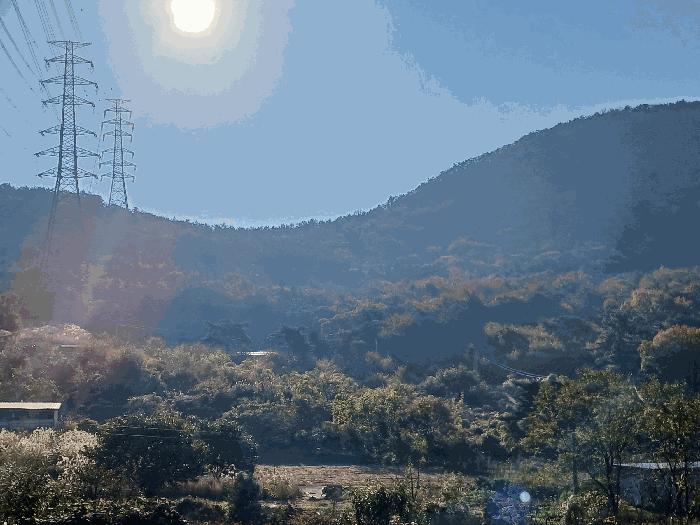 전라남도 광양시 임야