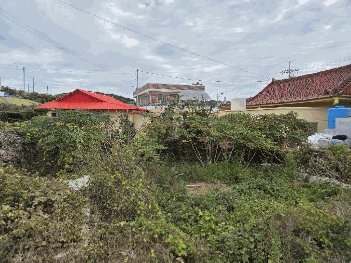 전라남도 여수시 삼산면 서도리 905 대지 경매 사진 3
