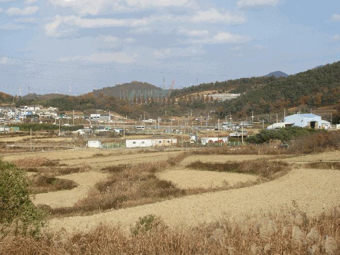 전라남도 여수시 소라면 덕양리 487 전 경매 사진 2