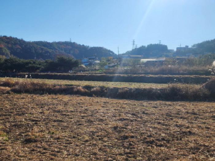 전라남도 여수시 소라면 덕양리 487 전 경매 사진 3
