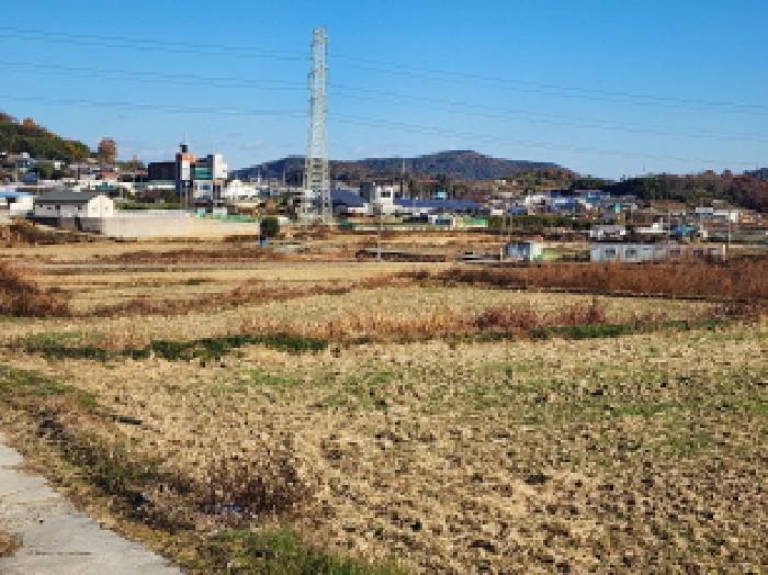 전라남도 여수시 소라면 덕양리 487 전 경매 사진 5