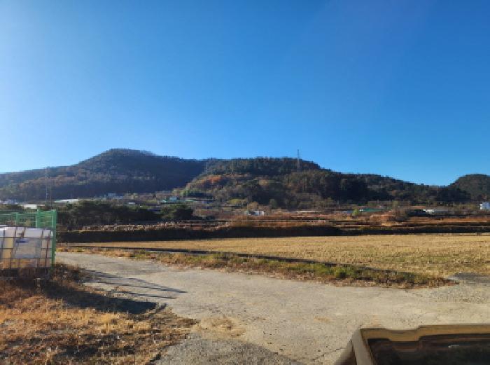 전라남도 여수시 소라면 덕양리 487 전 경매 사진 6