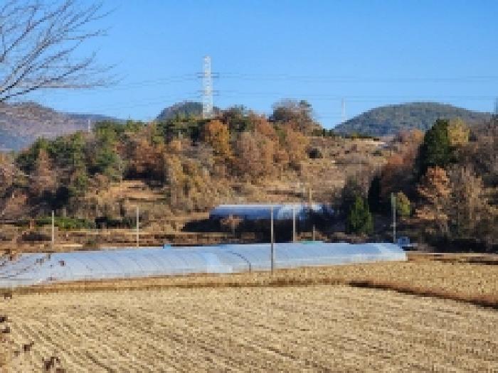 전라남도 여수시 소라면 봉두리 510 답 경매 사진 11