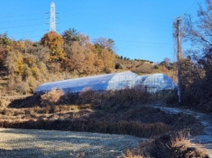 전라남도 여수시 소라면 봉두리 510 답 경매 사진 12