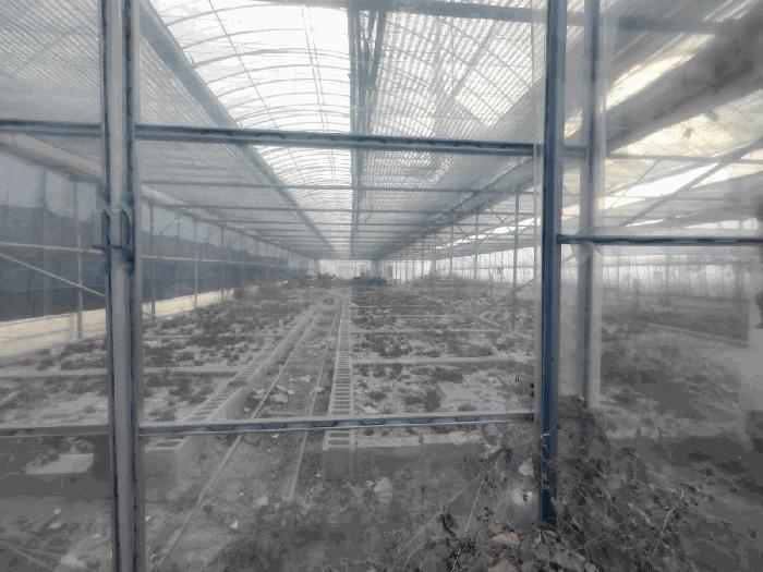 전라남도 여수시 소라면 봉두리 510 답 경매 사진 5