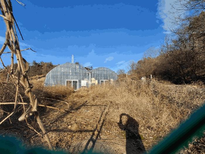 전라남도 여수시 소라면 봉두리 510 답 경매 사진 6