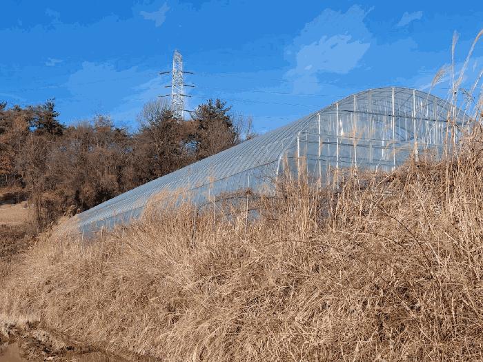전라남도 여수시 소라면 봉두리 510 답 경매 사진 8