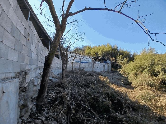 전라남도 여수시 호명동 1073 전 경매 사진 6