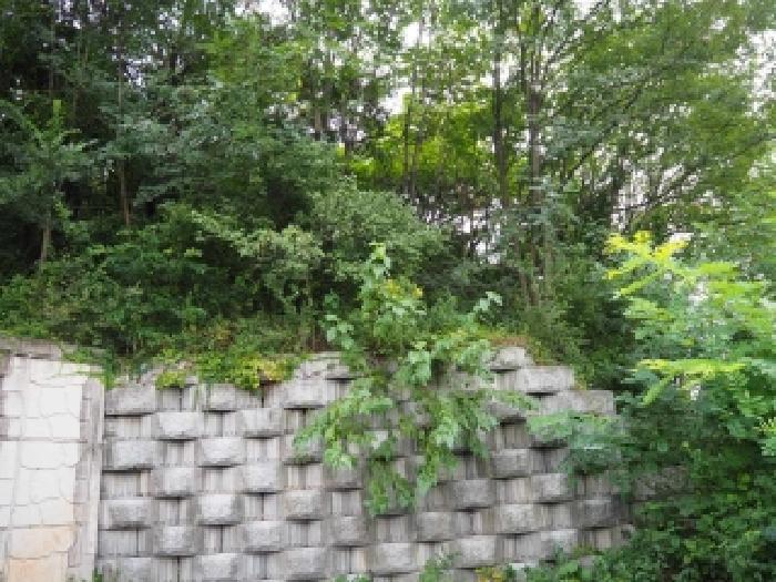 경상남도 밀양시 가곡동 680-68 전 경매 사진 6