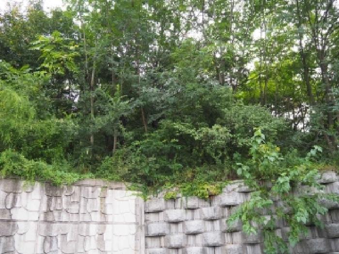 경상남도 밀양시 가곡동 680-68 전 경매 사진 7