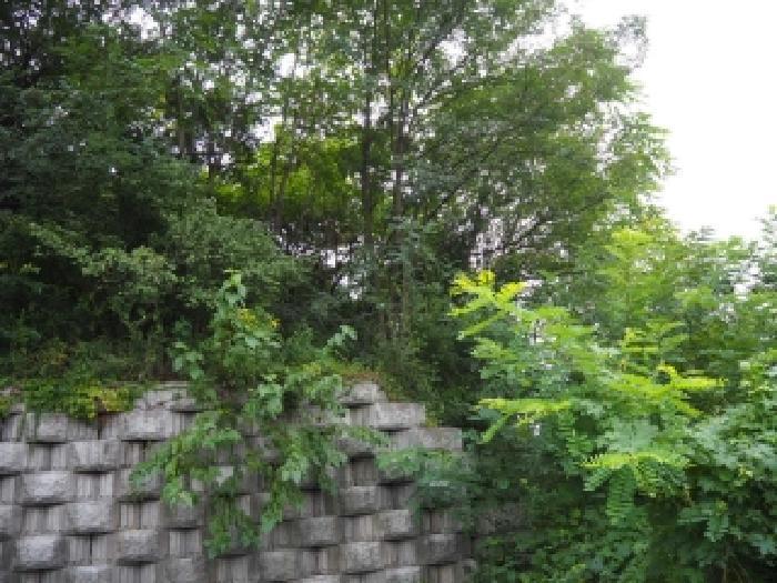 경상남도 밀양시 가곡동 680-68 전 경매 사진 8