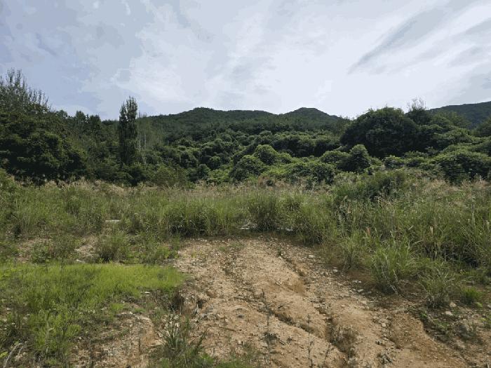 경상남도 밀양시 임야
