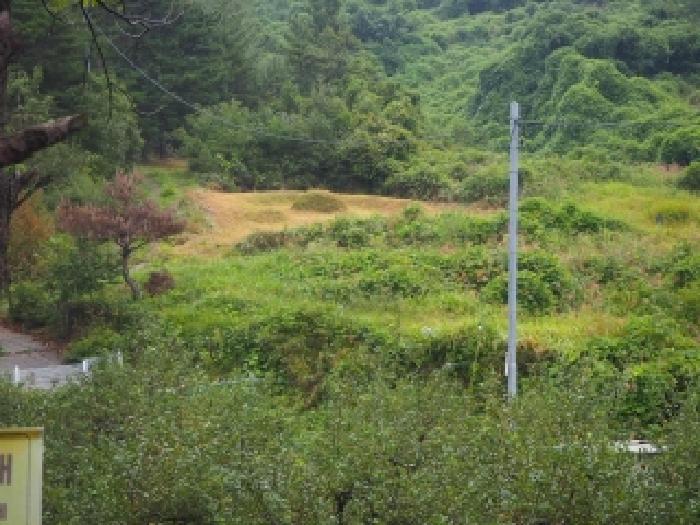 경상남도 밀양시 산내면 송백리 126-5 임야 경매 사진 6