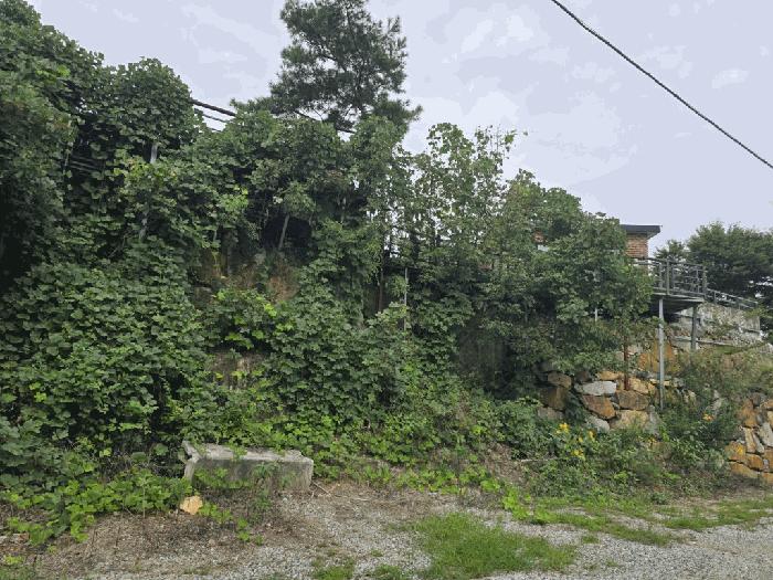 경상남도 밀양시 단장면 고례리 1440-8 근린시설 경매 사진 2