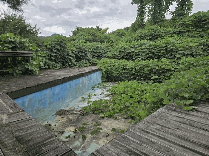 경상남도 밀양시 단장면 고례리 1440-8 근린시설 경매 사진 7