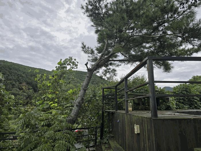 경상남도 밀양시 단장면 고례리 1440-8 근린시설 경매 사진 9