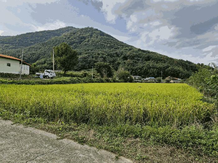 경상남도 창녕군 답