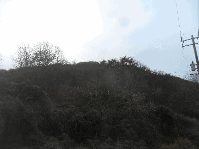 경상남도 밀양시 초동면 덕산리 산245 임야 경매 사진 1